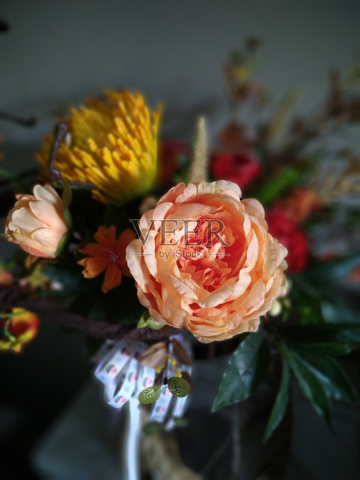 花朵照片摄影图片