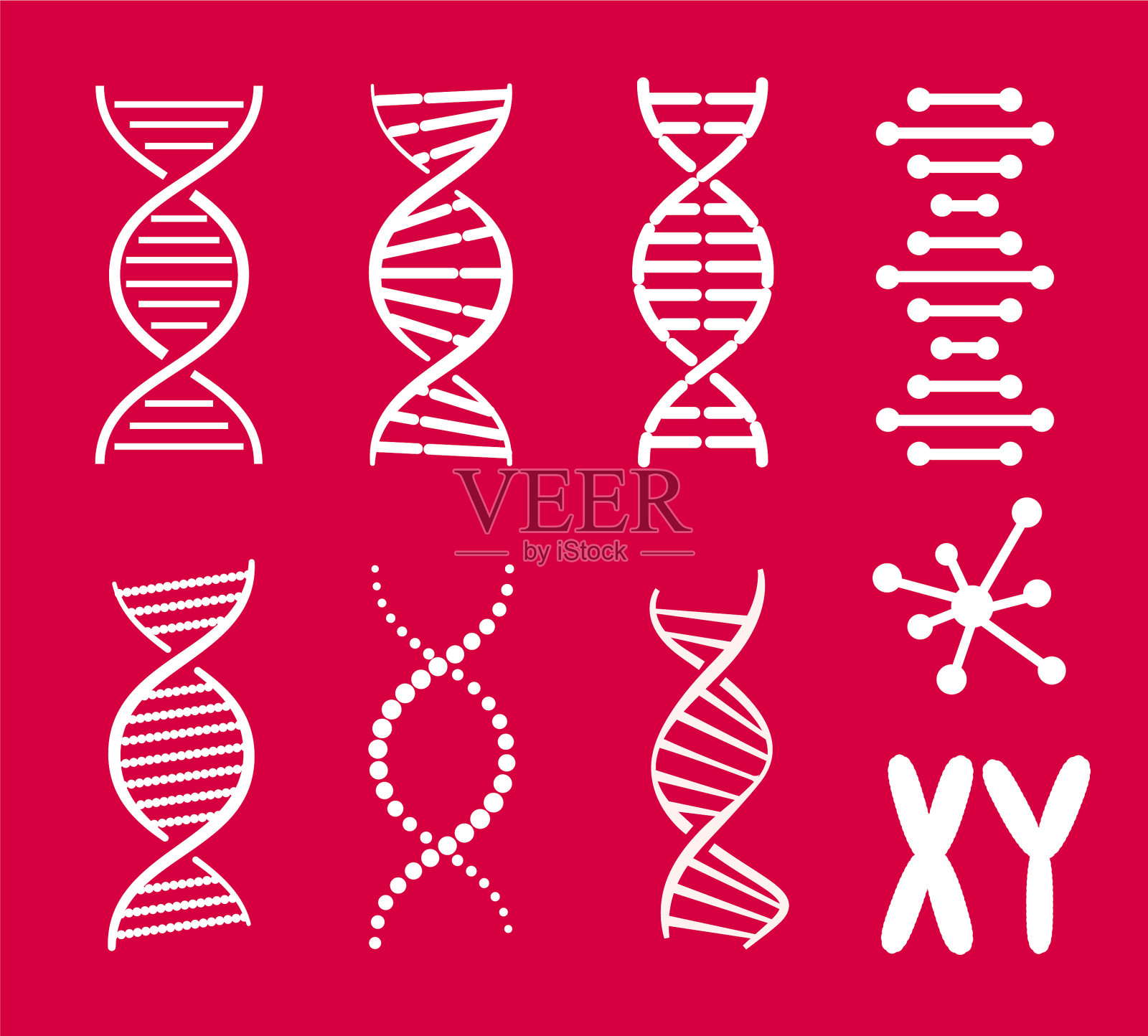 收集DNA螺旋形状插画图片素材