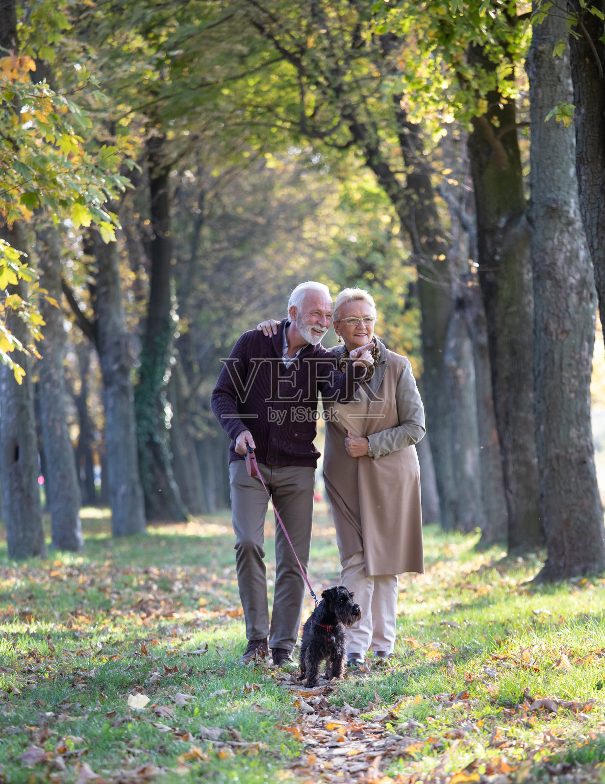 老夫妇带着狗在森林里散步照片摄影图片