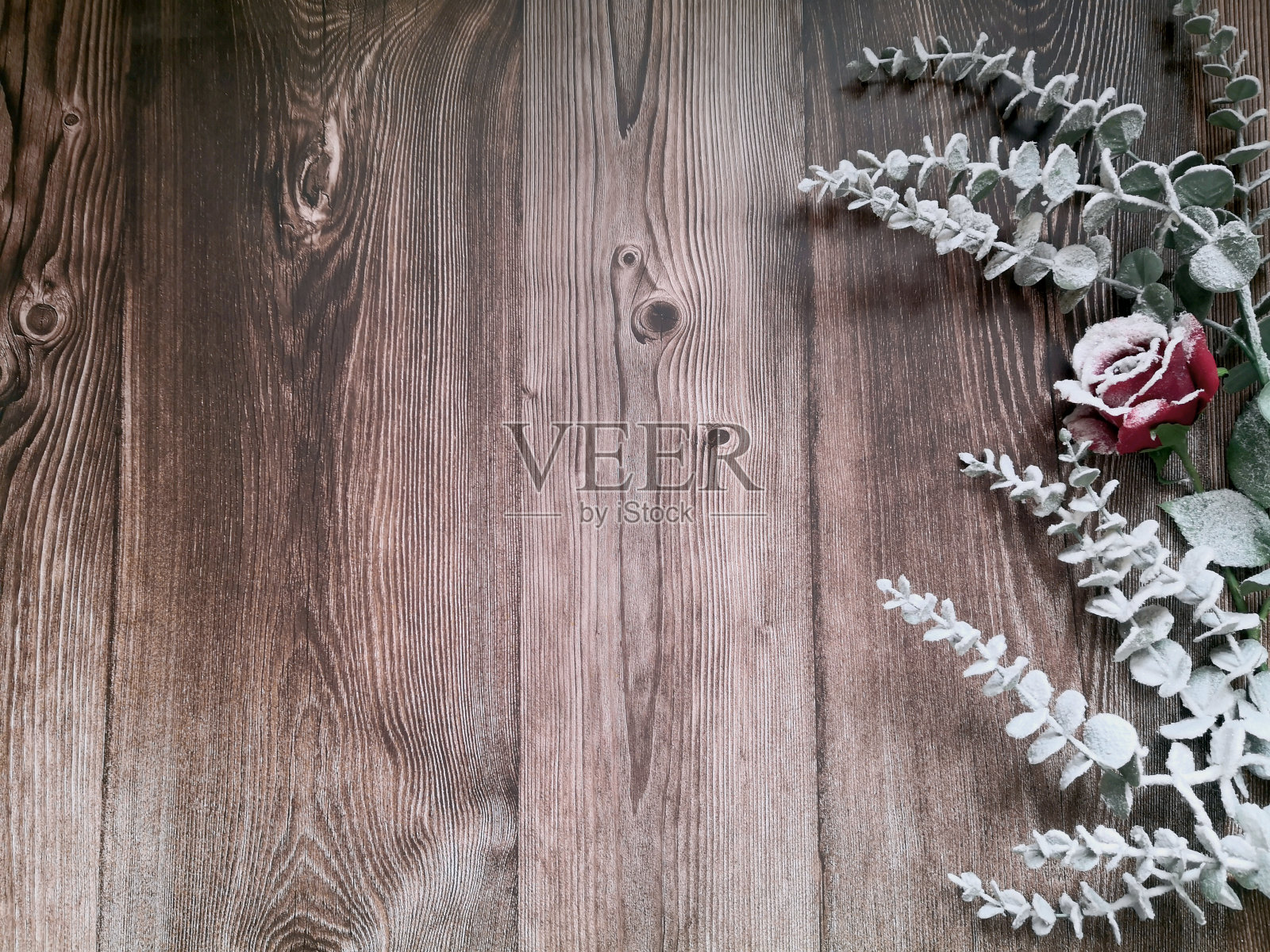 冬天的作文照片摄影图片