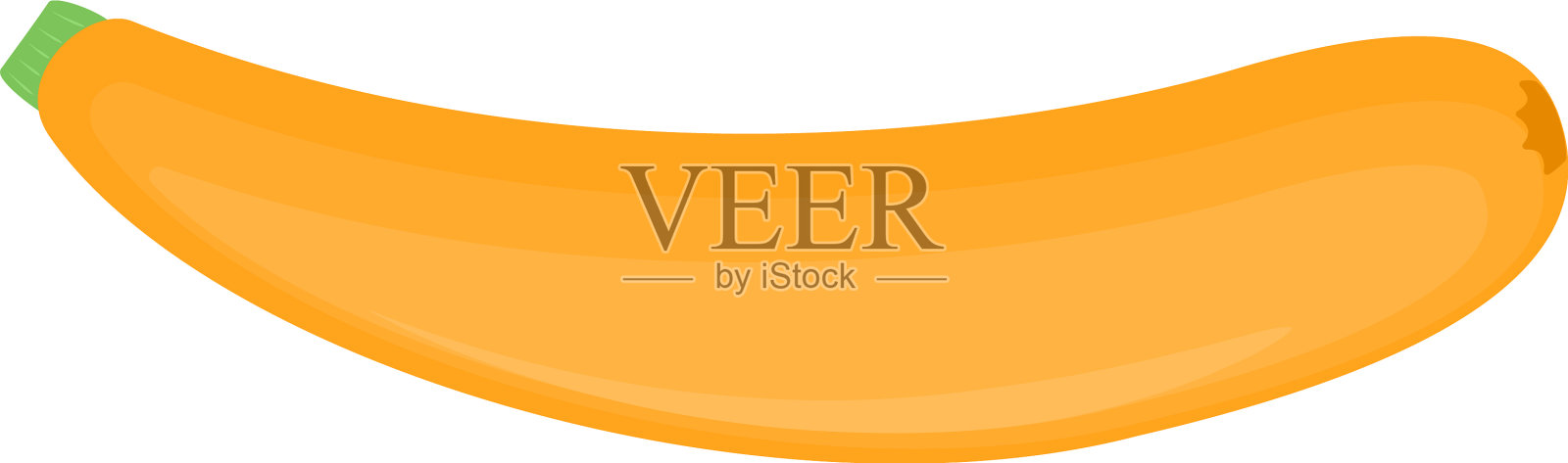 透明背景下分离的西葫芦插画图片素材