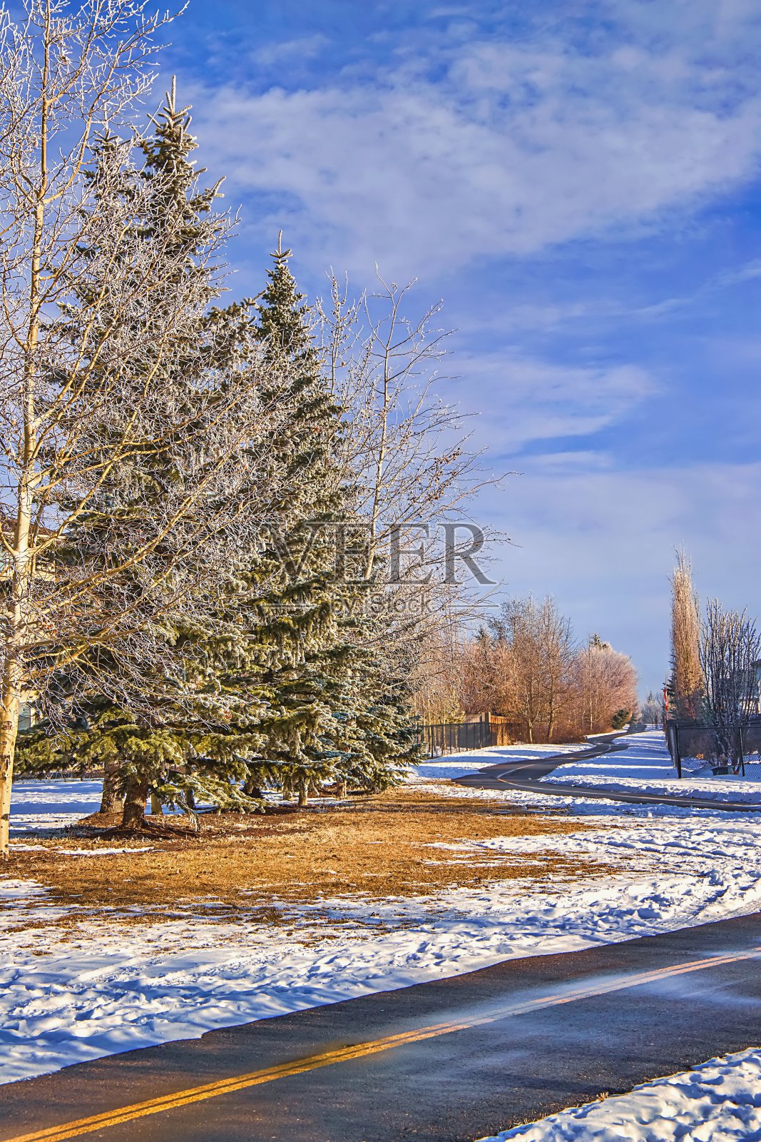 冬天小路上的蓝天照片摄影图片