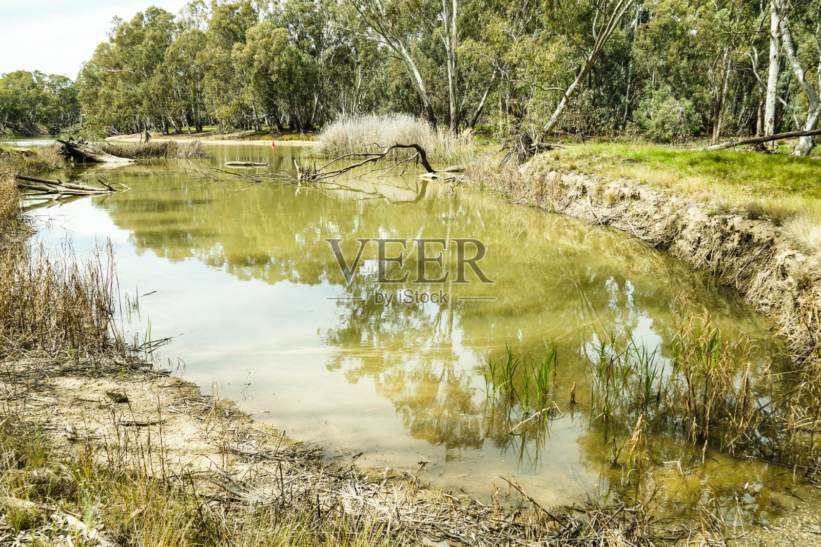 迪尼利昆，新南威尔士，澳大利亚照片摄影图片