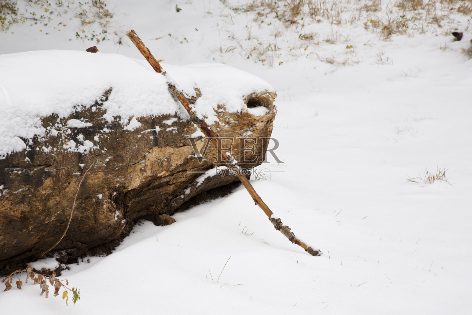 下雪天徒步旅行的新砍的拐杖照片摄影图片