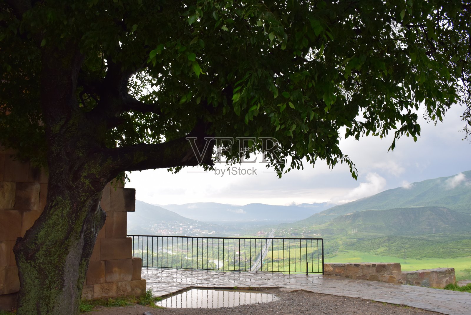 在乔治亚州照片摄影图片