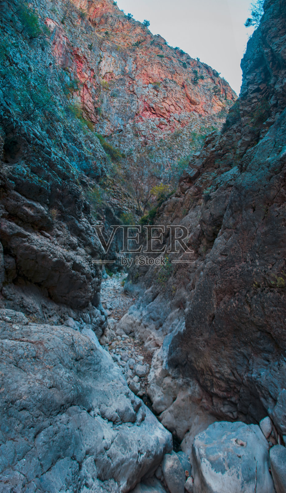 生活照片摄影图片