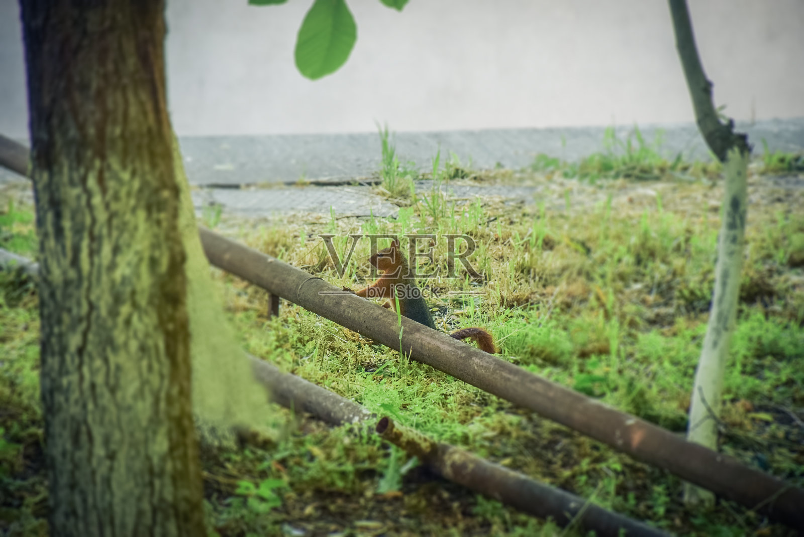 城市生活照片摄影图片