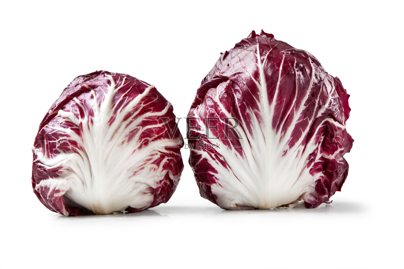 菊苣-意大利菊苣分离照片摄影图片