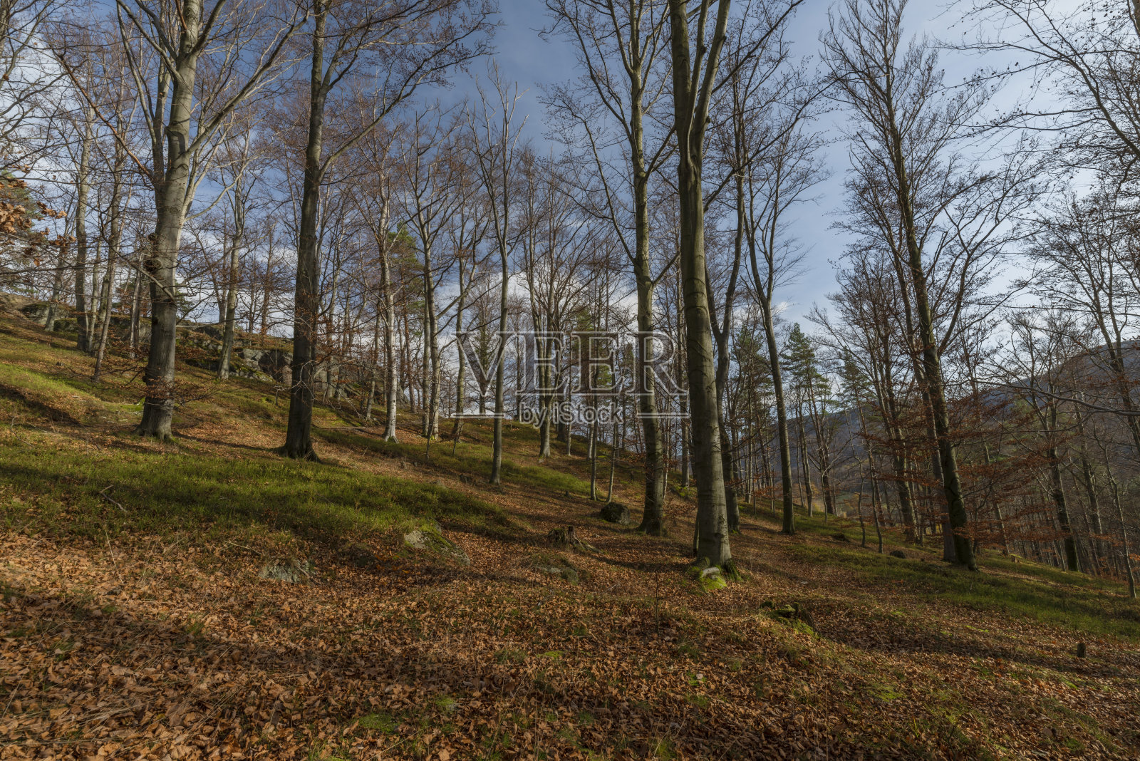 在阳光明媚的秋日俯瞰吉泽尔斯克山的海尼斯镇照片摄影图片