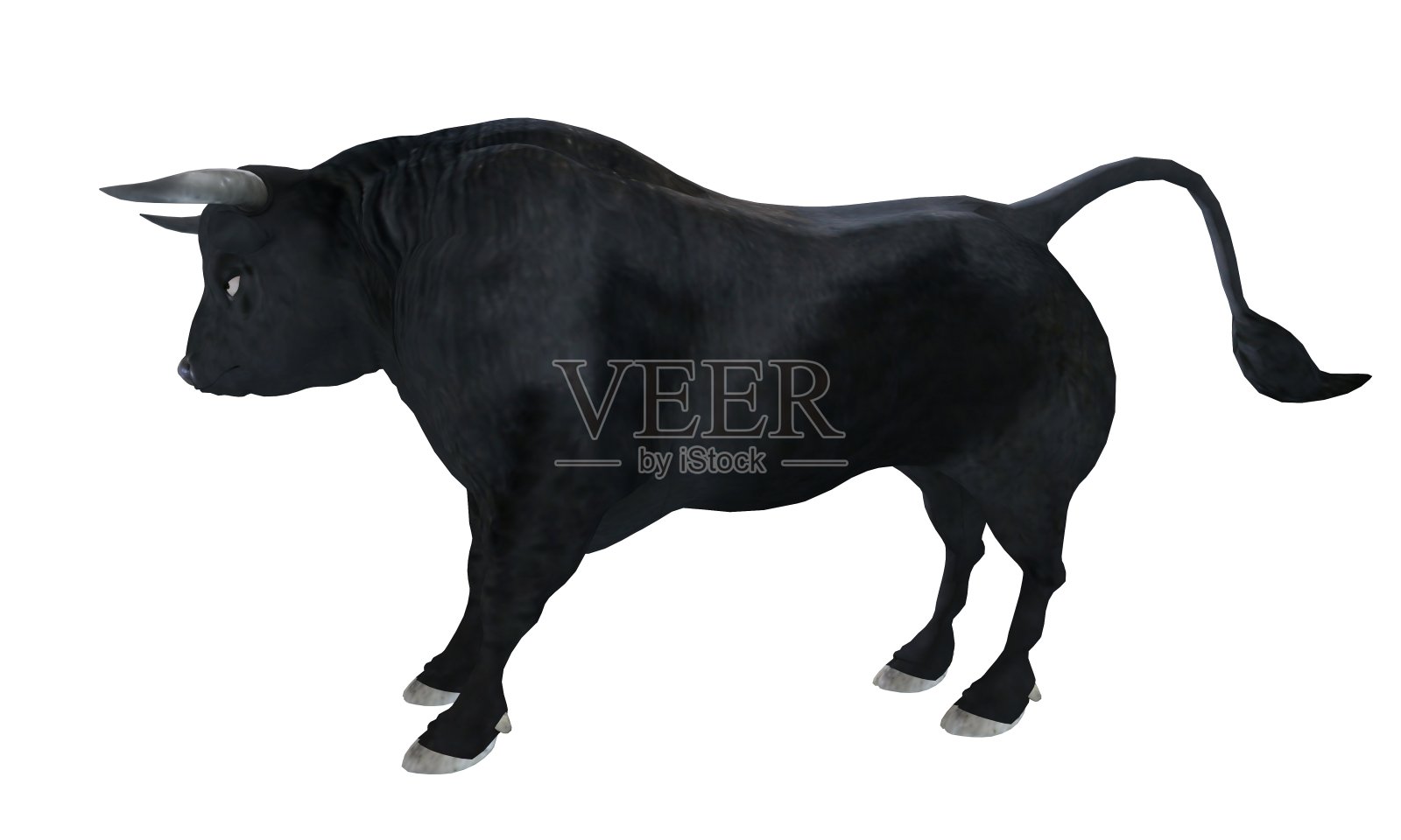 黑色公牛孤立的白色背景3d插图照片摄影图片