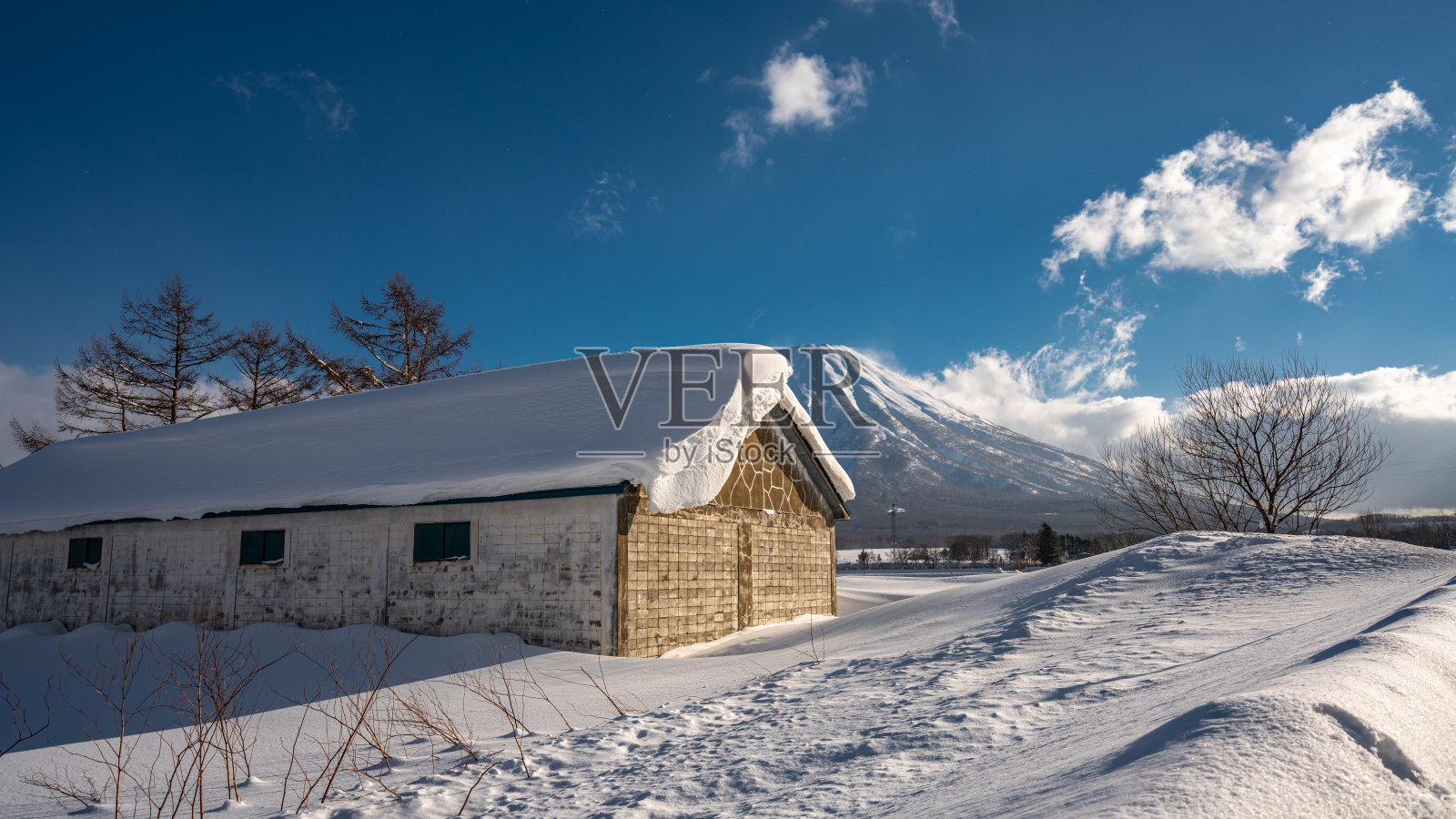 假期的照片照片摄影图片