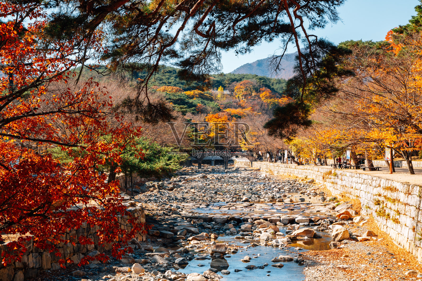 韩国羊山秋日的通多萨寺山林照片摄影图片