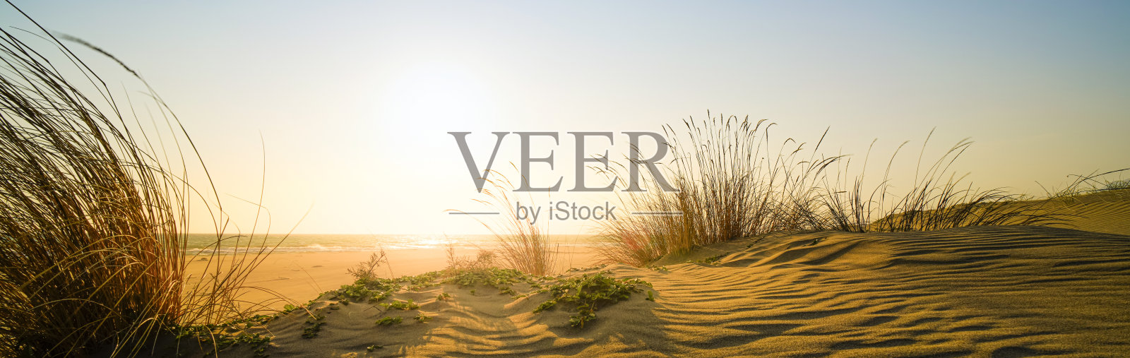 夕阳下的偏僻海滩照片摄影图片