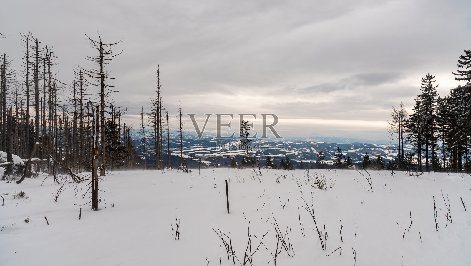 从Velky Polom山在冬季Moravskoslezske Beskydy山在捷克斯洛伐克边界照片摄影图片