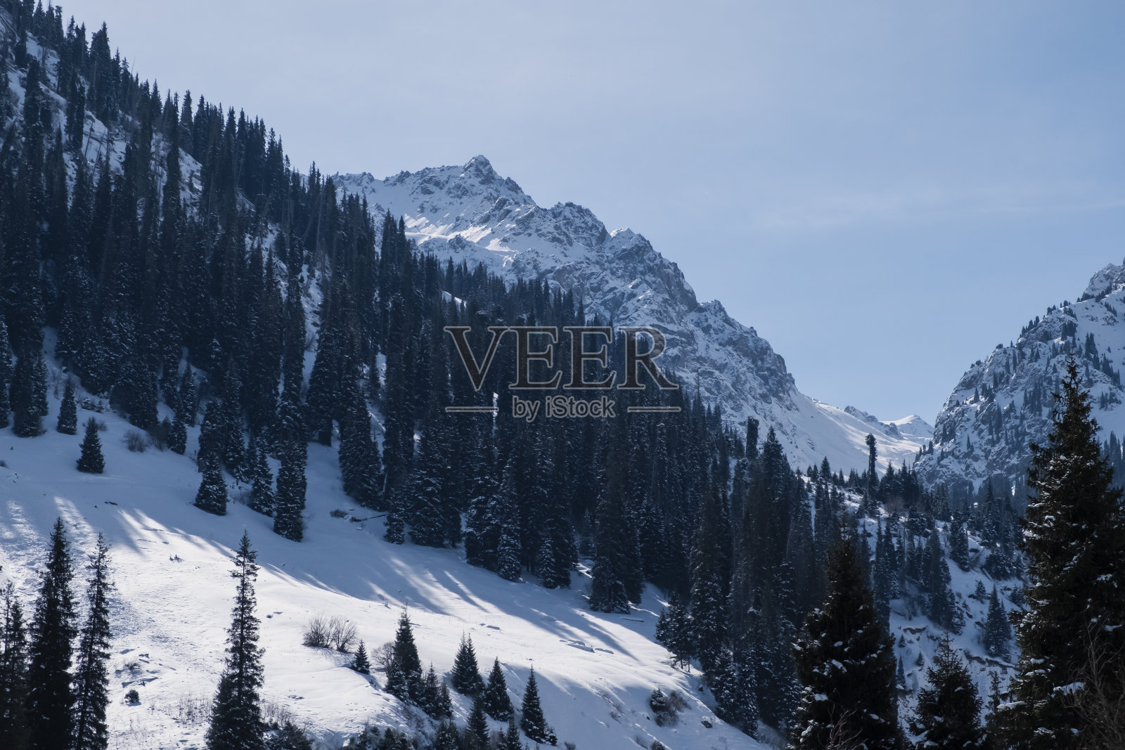 冬天的山上覆盖着雪景。天山的冬天。照片摄影图片