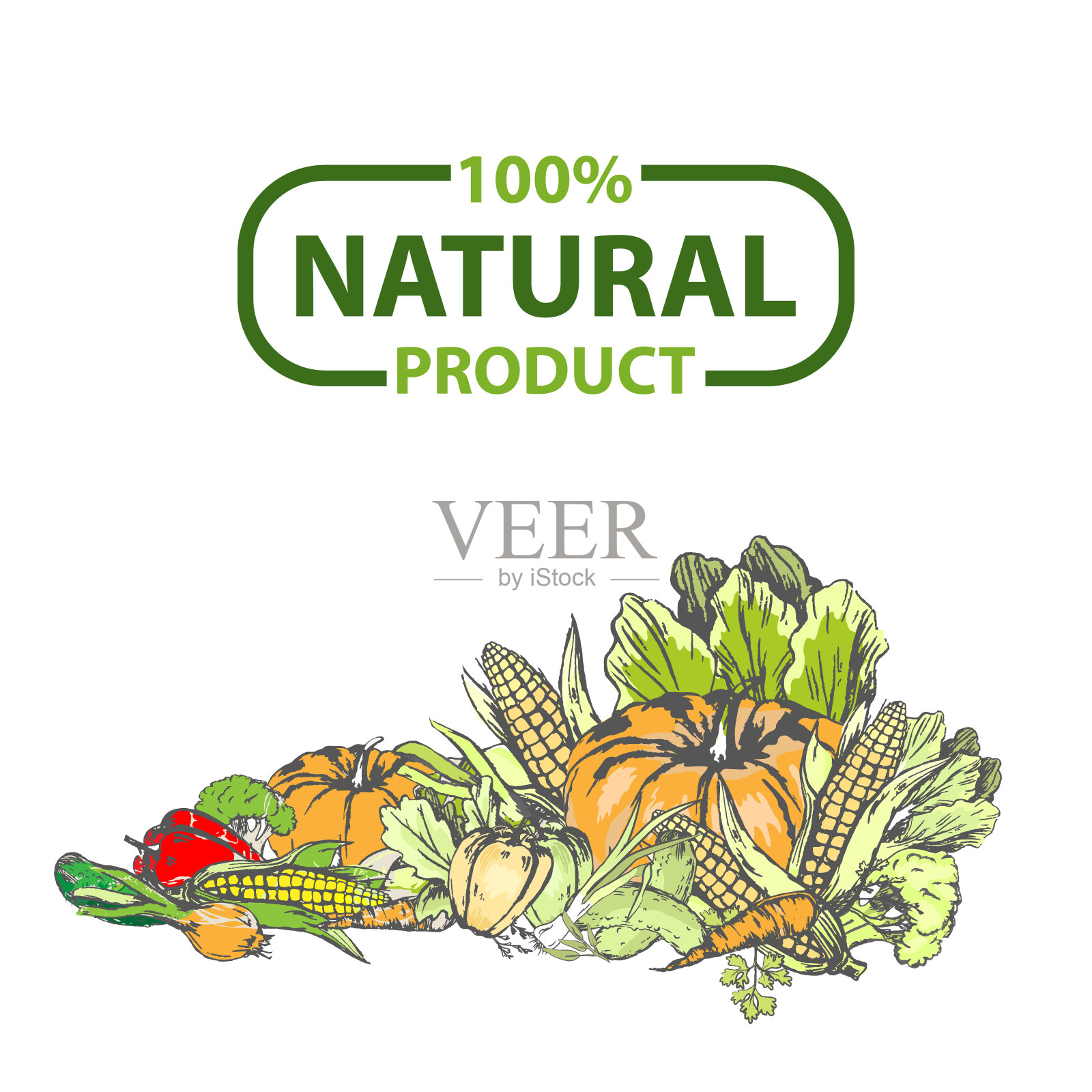 自然项目100%新鲜食物载体插画图片素材
