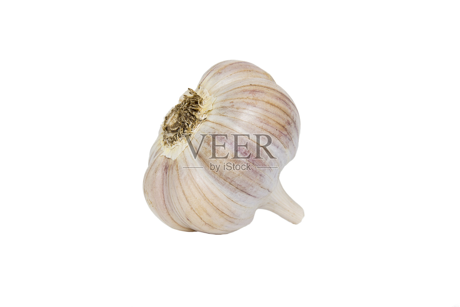 头大蒜照片摄影图片
