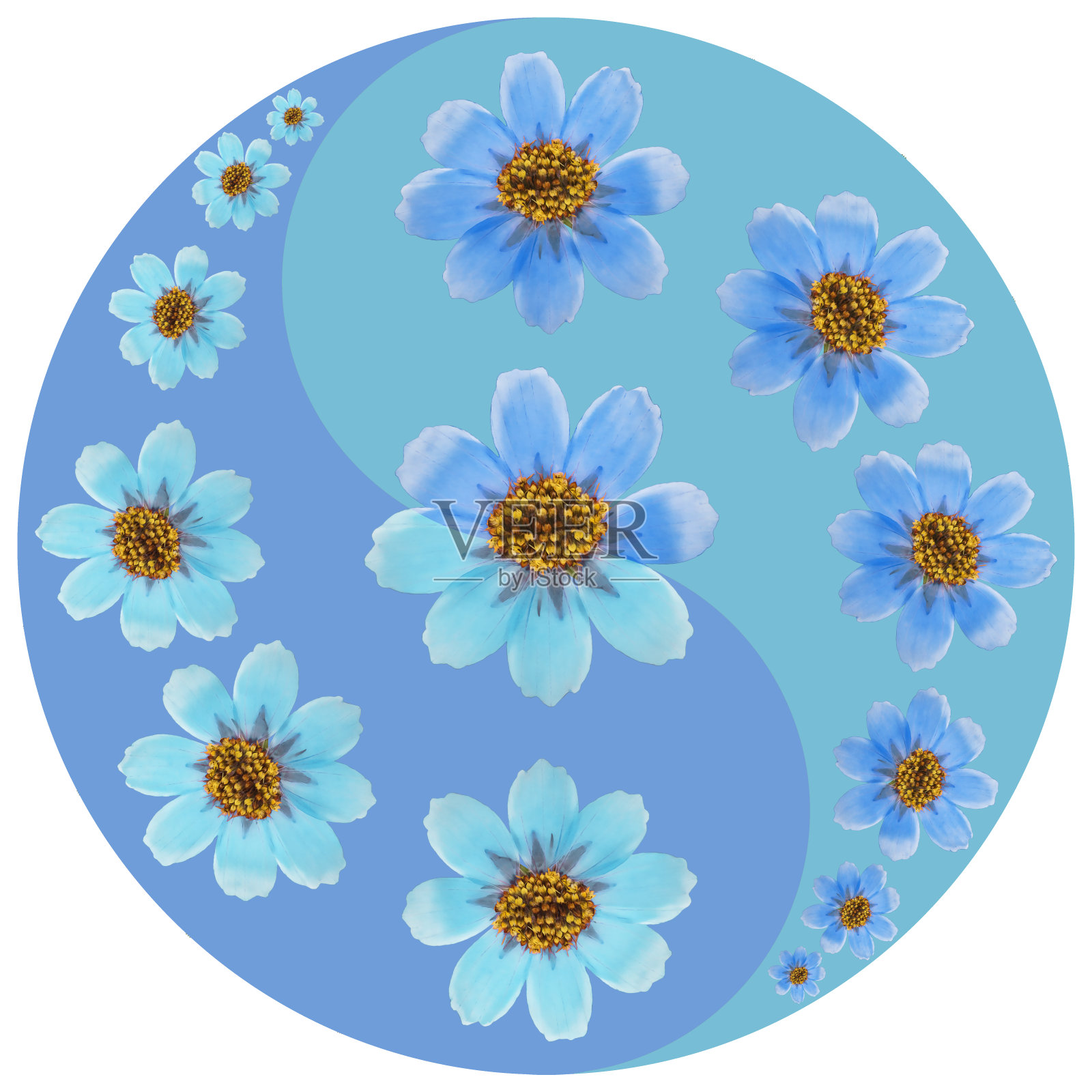 花象征阴阳。宇宙。几何图案的阴阳符号，从植物的彩色背景在东方风格。阴阳符号取自花、花瓣。曼荼罗的花卉插图。照片摄影图片