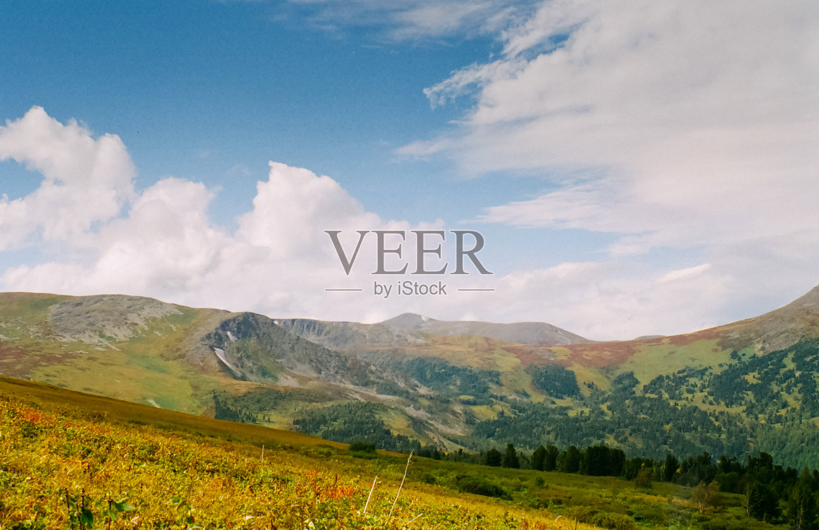 秋天的阿尔泰自然，森林和山脉。照片摄影图片