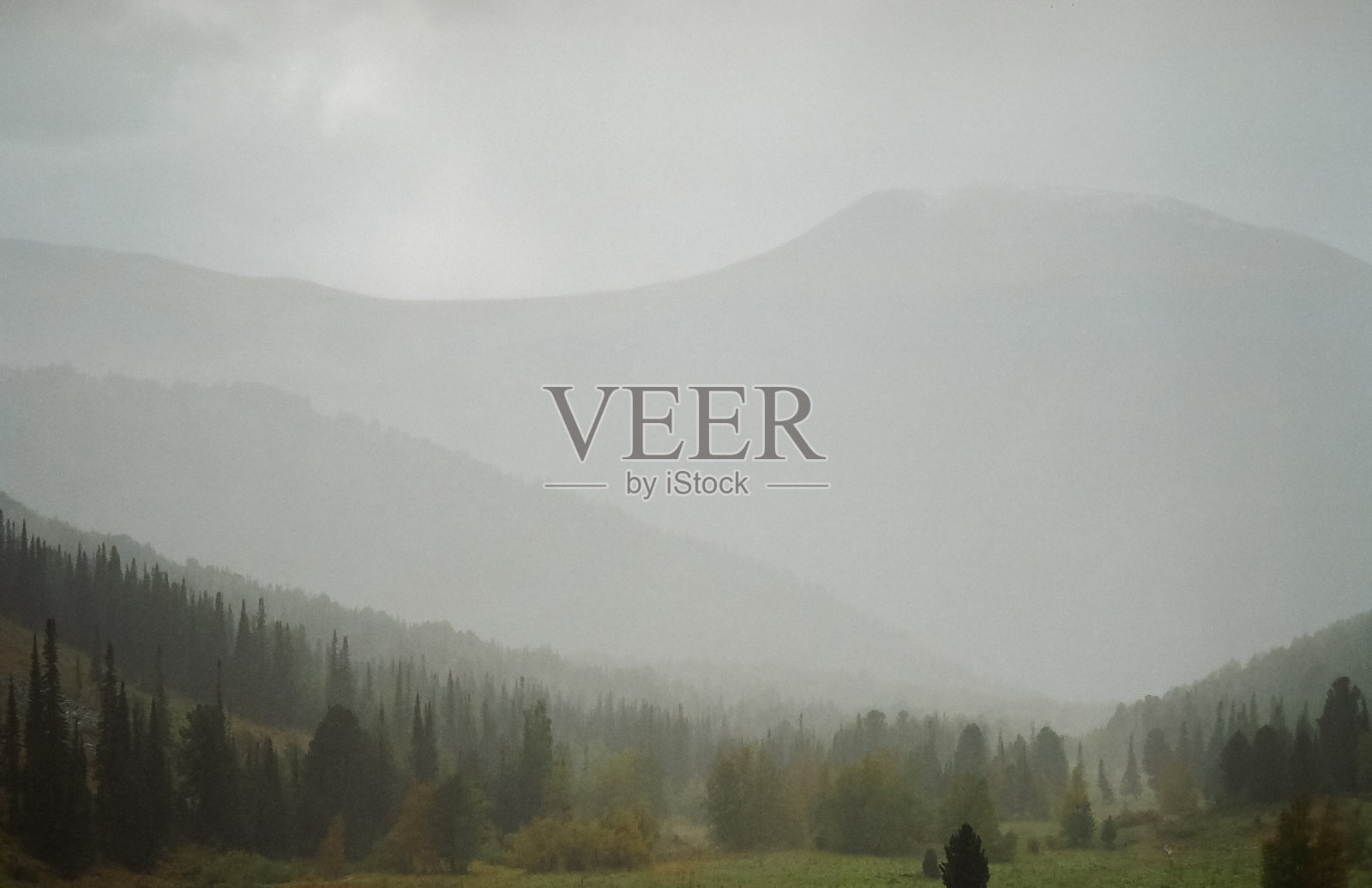 秋天的阿尔泰自然，森林和山脉。照片摄影图片