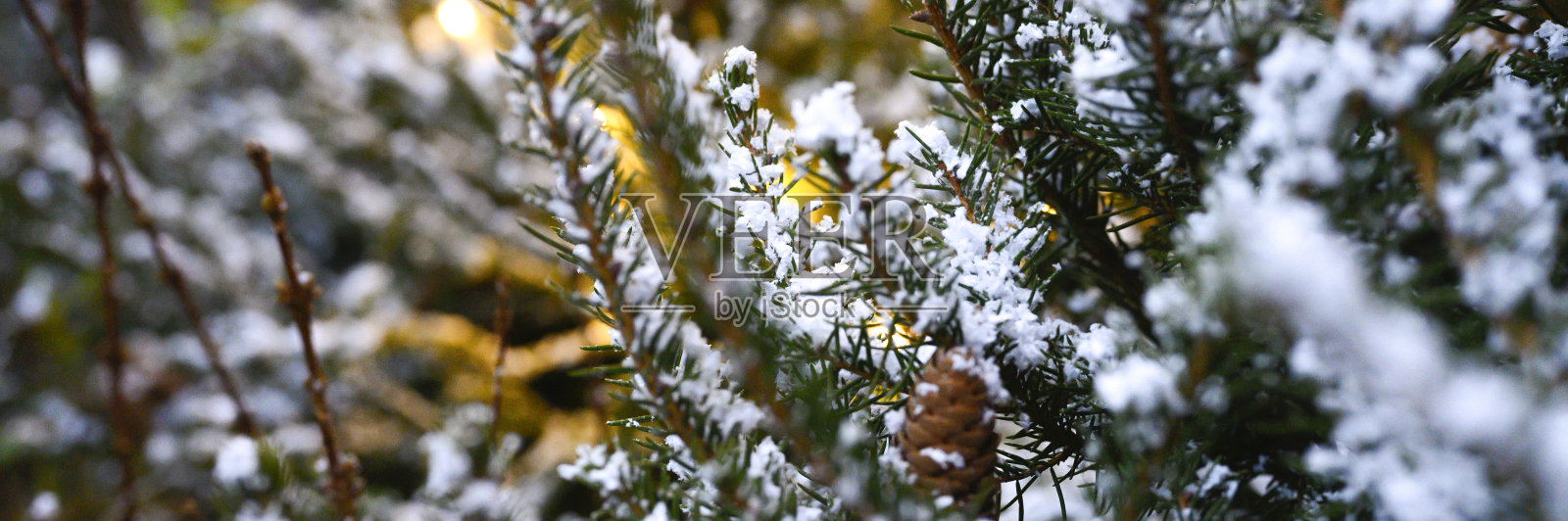 圣诞树的枝头在雪地里闪烁着金光闪闪的花环。横幅照片摄影图片