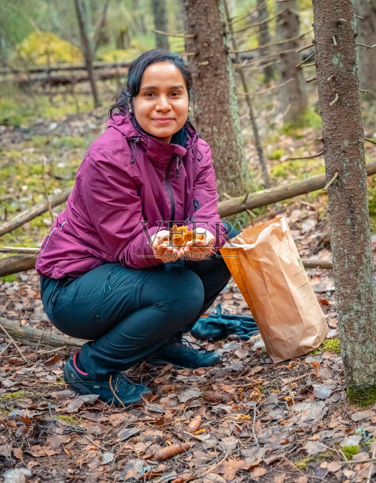 在树林里采蘑菇照片摄影图片