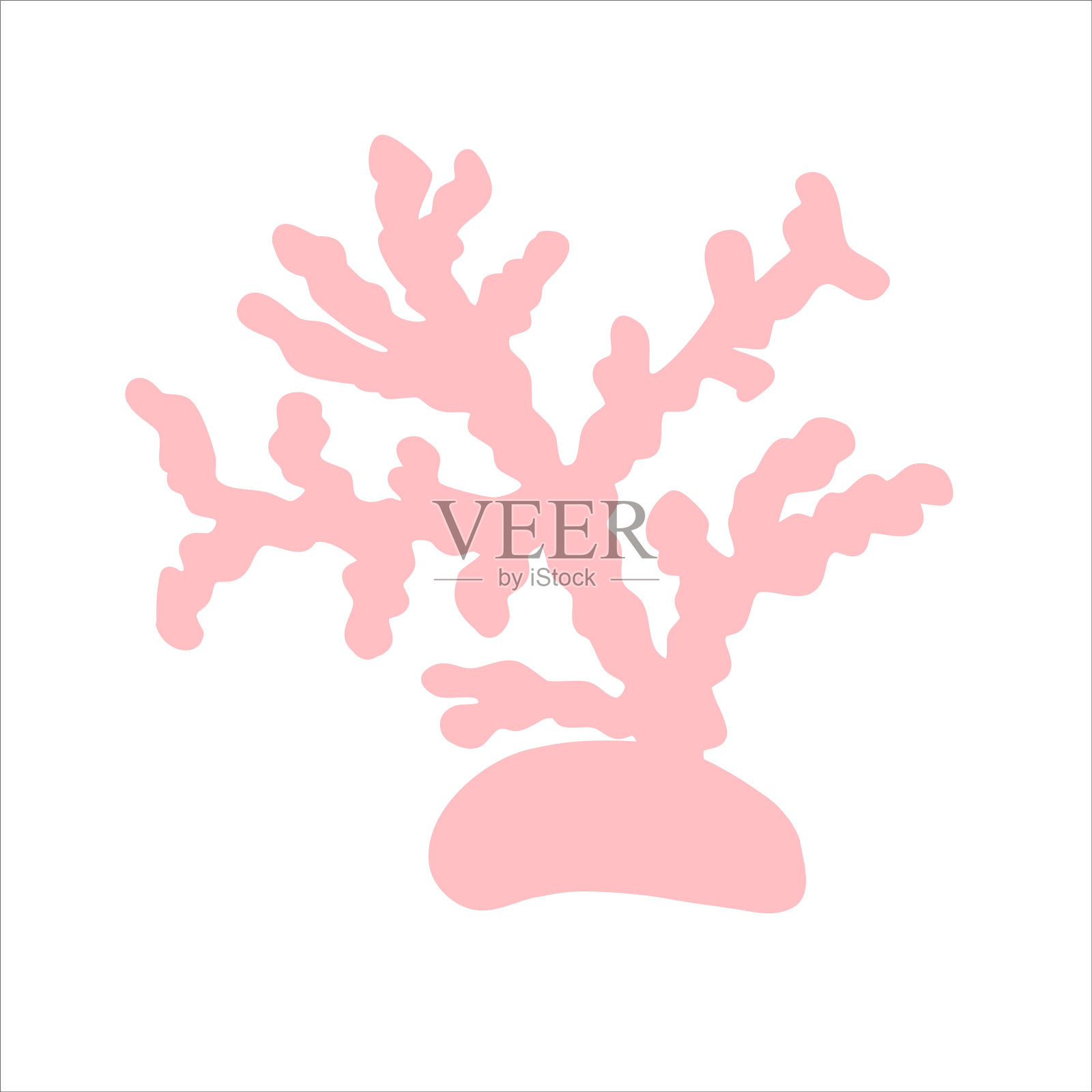 粉红色的珊瑚孤立在白色的背景上插画图片素材
