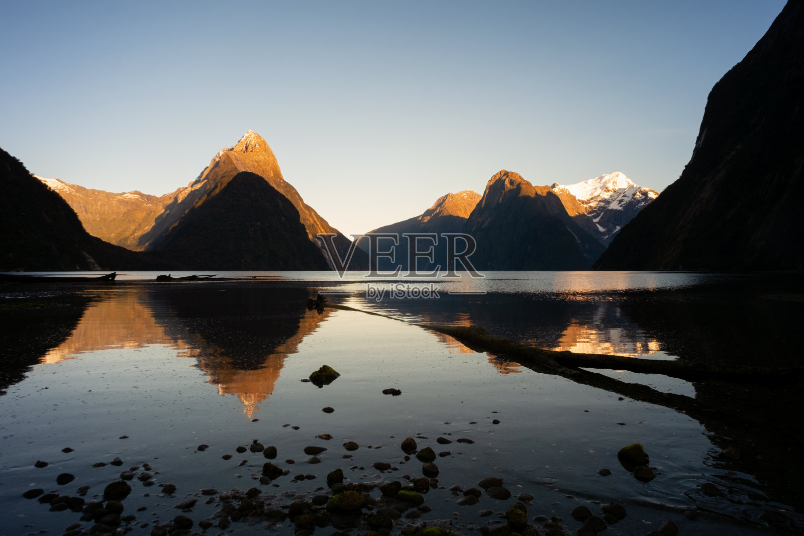 新西兰峡湾国家公园米尔福德湾的黎明照片摄影图片