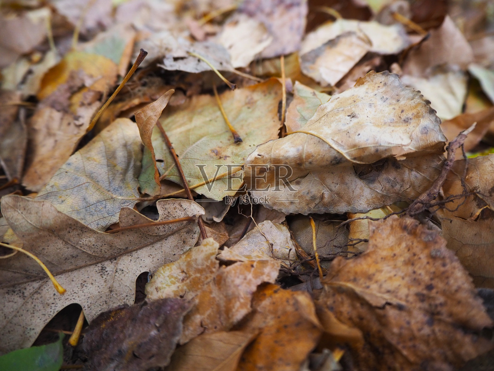 埃米尔湖的美丽景色。山丘和宁静的森林。埃米尔湖，安卡拉，土耳其照片摄影图片