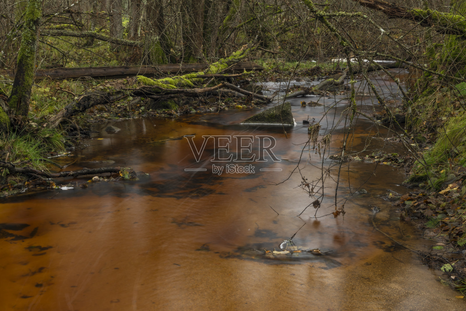 耶泽尼溪在秋色的早晨与红色的水和绿色美丽的森林照片摄影图片