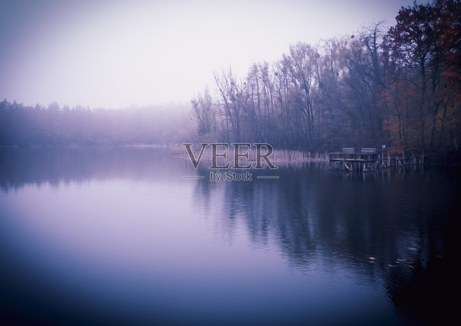 看到照片摄影图片