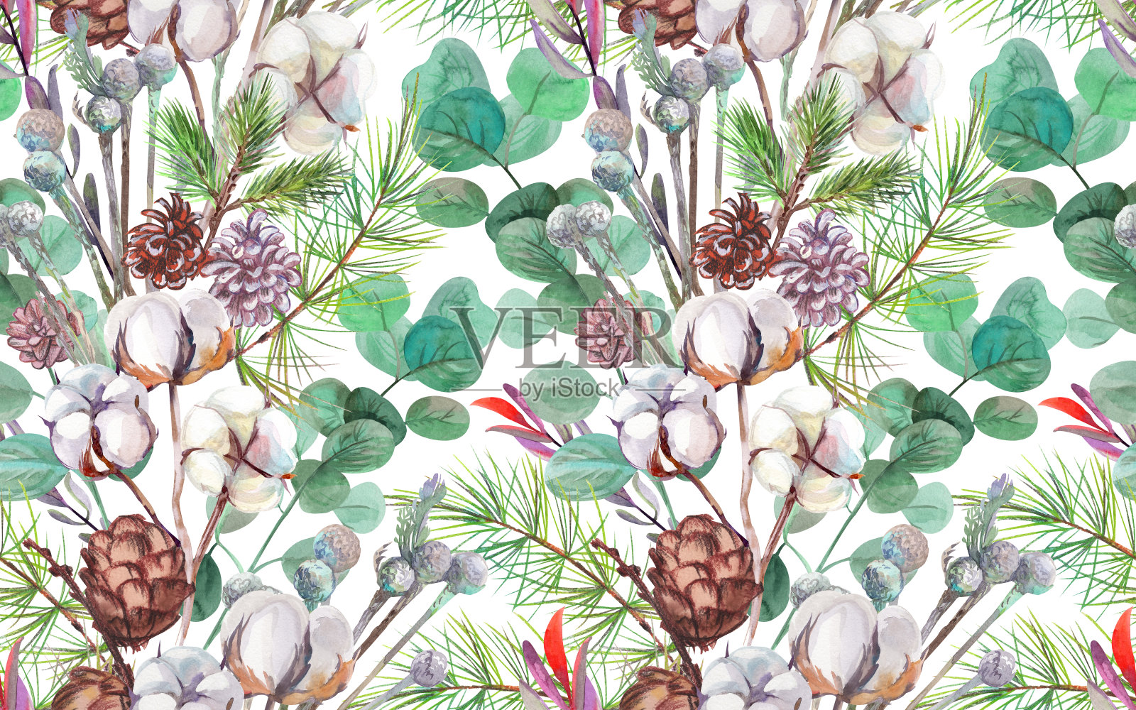 无缝冬季图案与松果，棉花和一个分支插画图片素材
