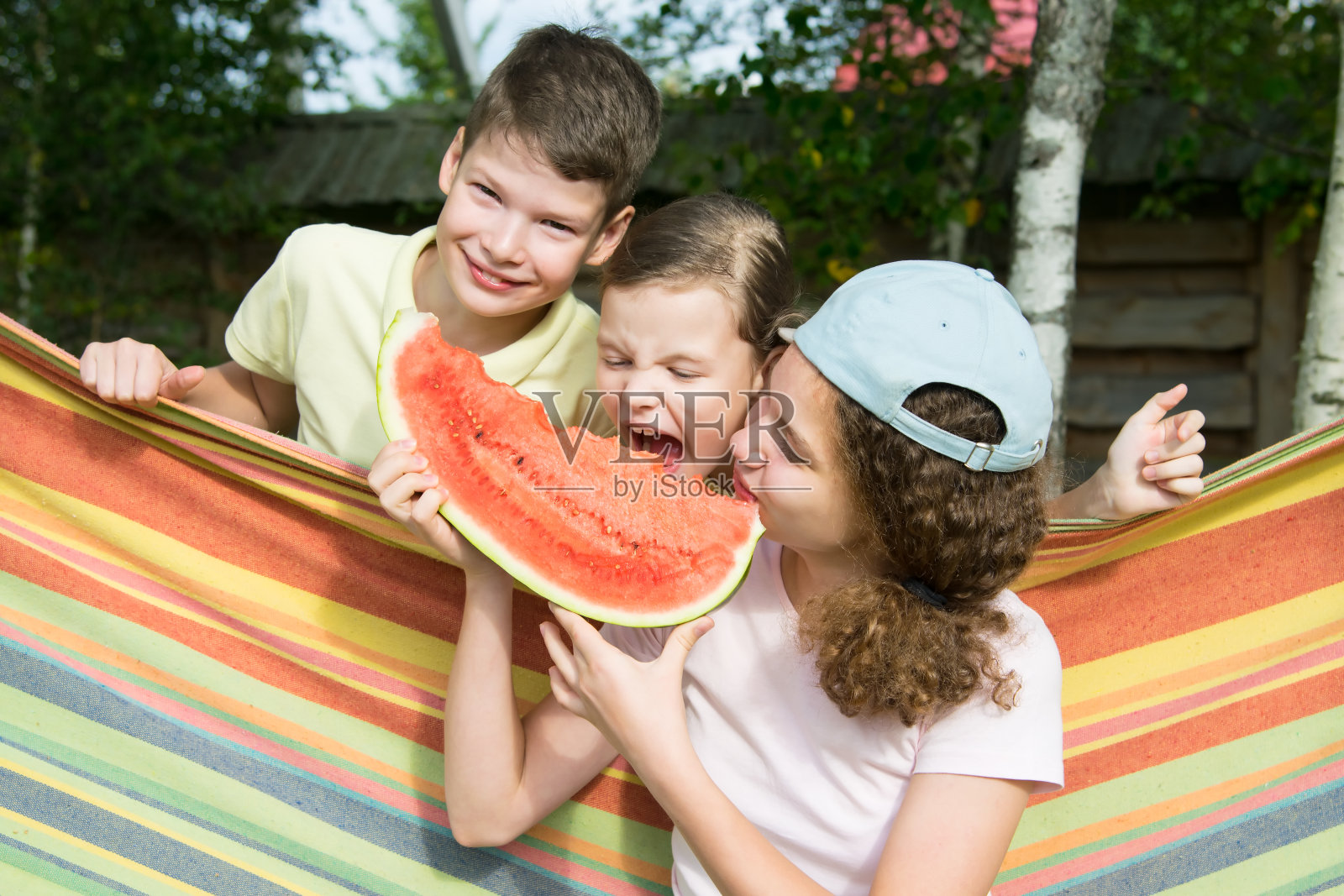 孩子们一边吃西瓜一边开玩笑，在新鲜的空气中，坐在吊床上照片摄影图片