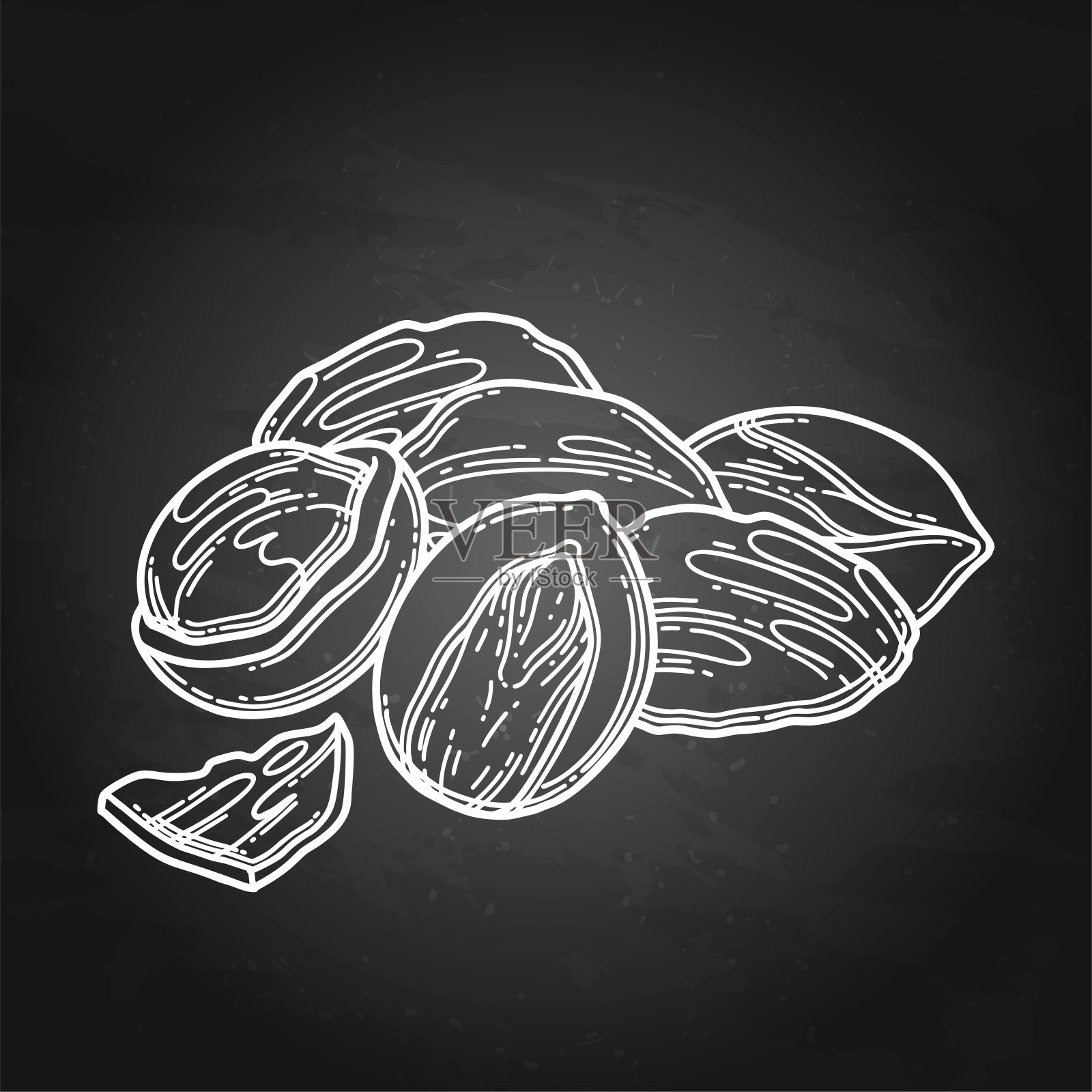 一堆干果。向量植物设计插画图片素材