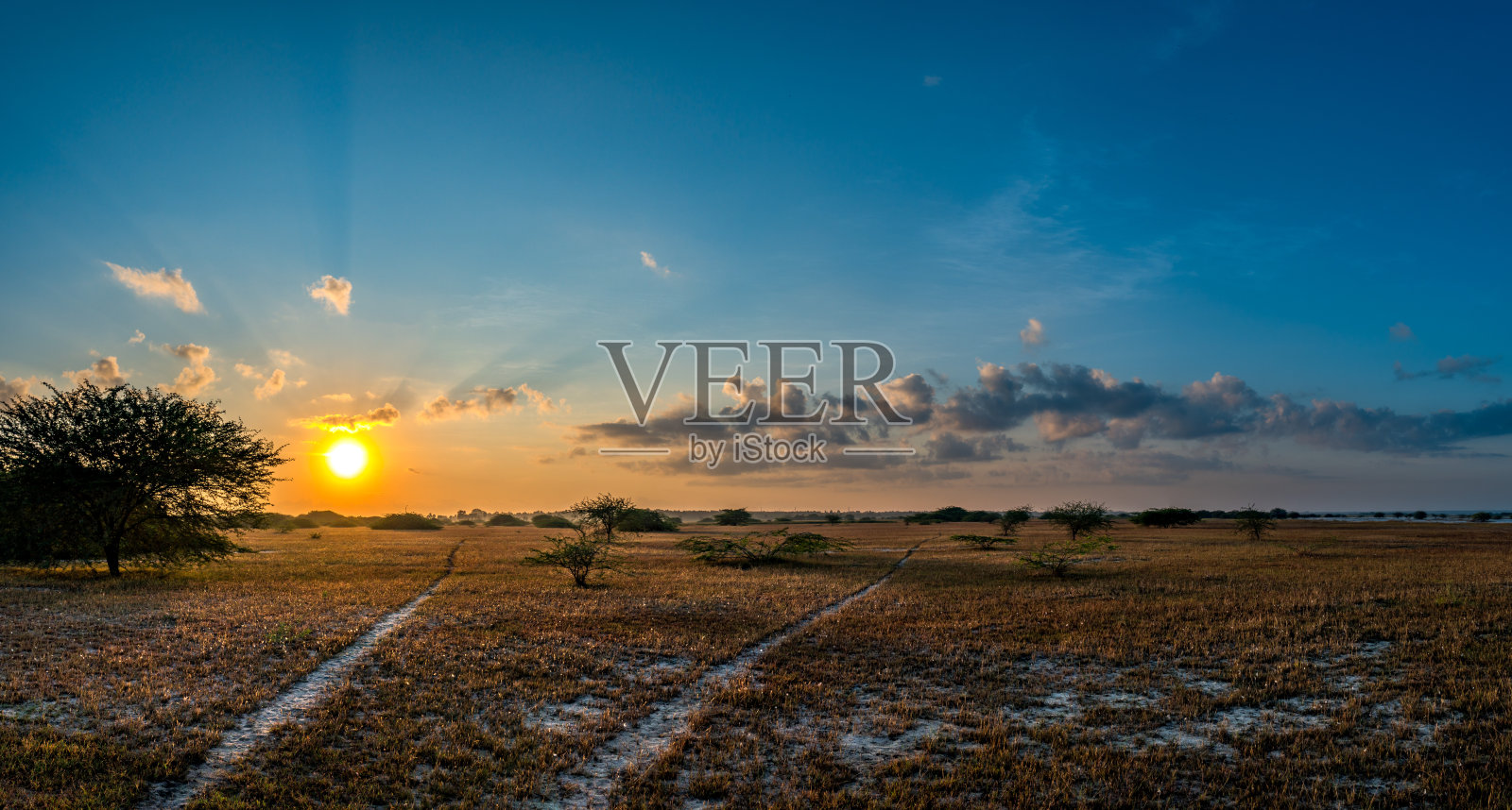 日出照片摄影图片