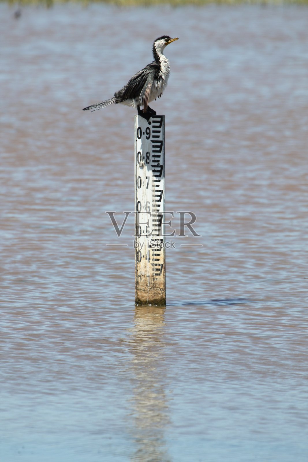 干旱的迹象照片摄影图片