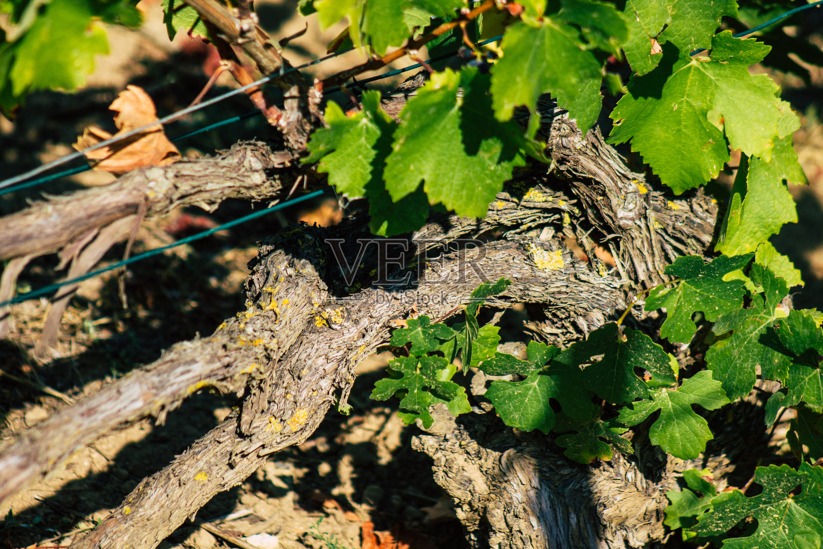 法国的颜色照片摄影图片