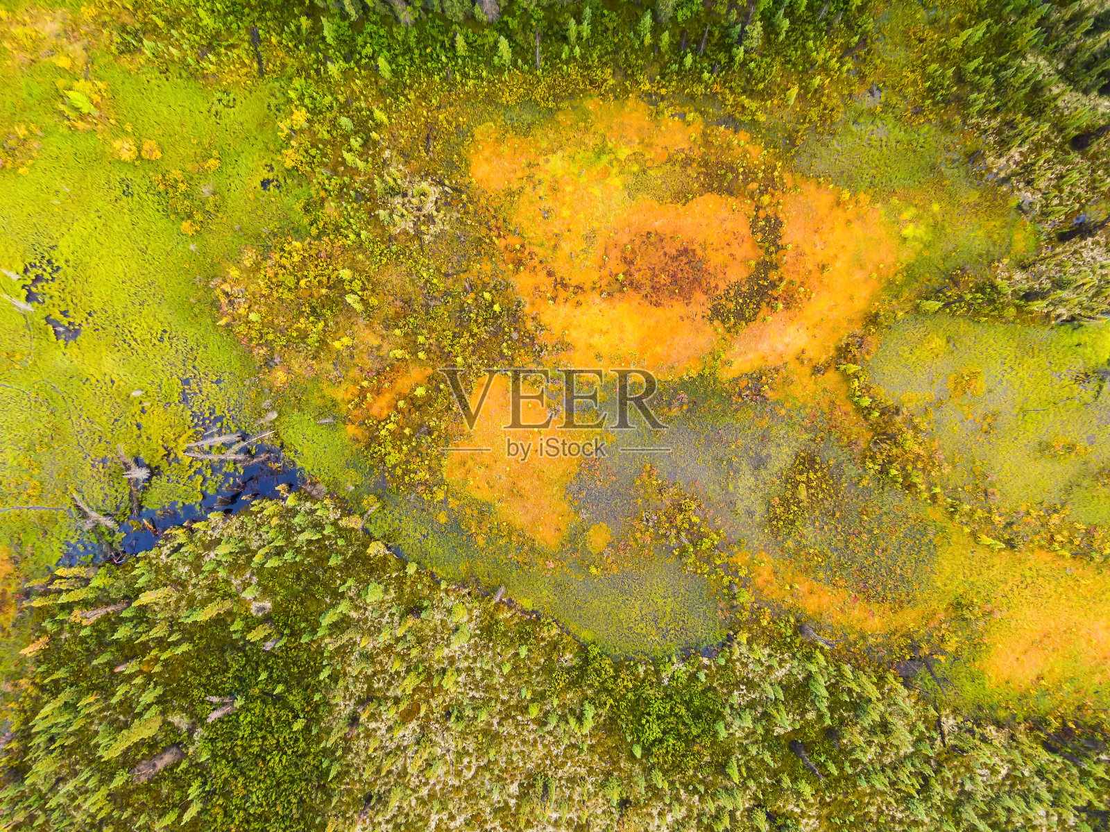 沼泽地彩色池塘航拍照片摄影图片