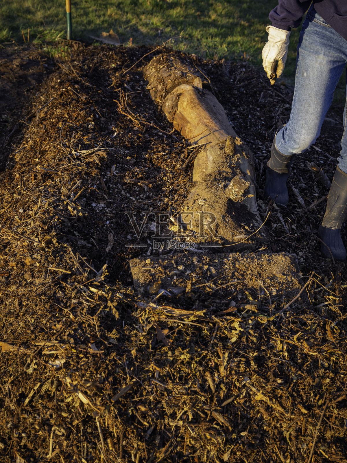 浓缩永久栽培小山墩或无挖高床用脚踩桩照片摄影图片
