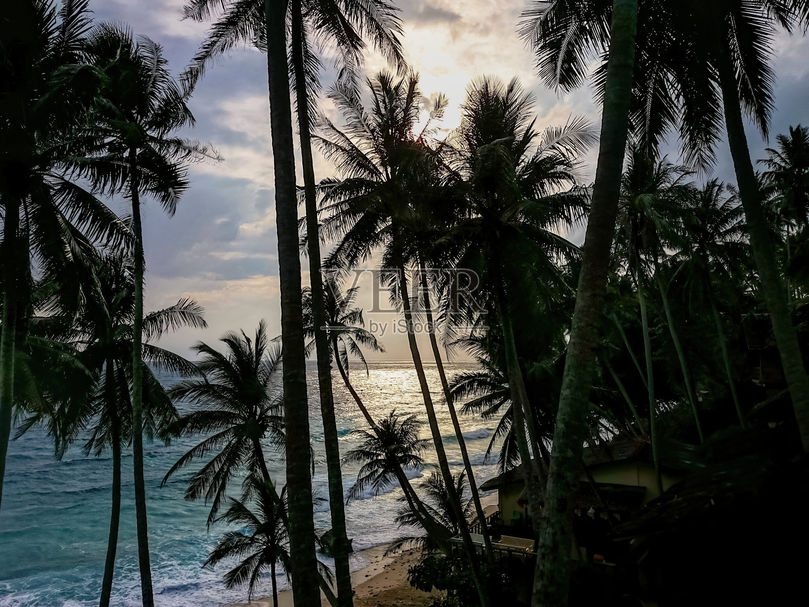 黄昏时海滩边椰子树的剪影照片摄影图片