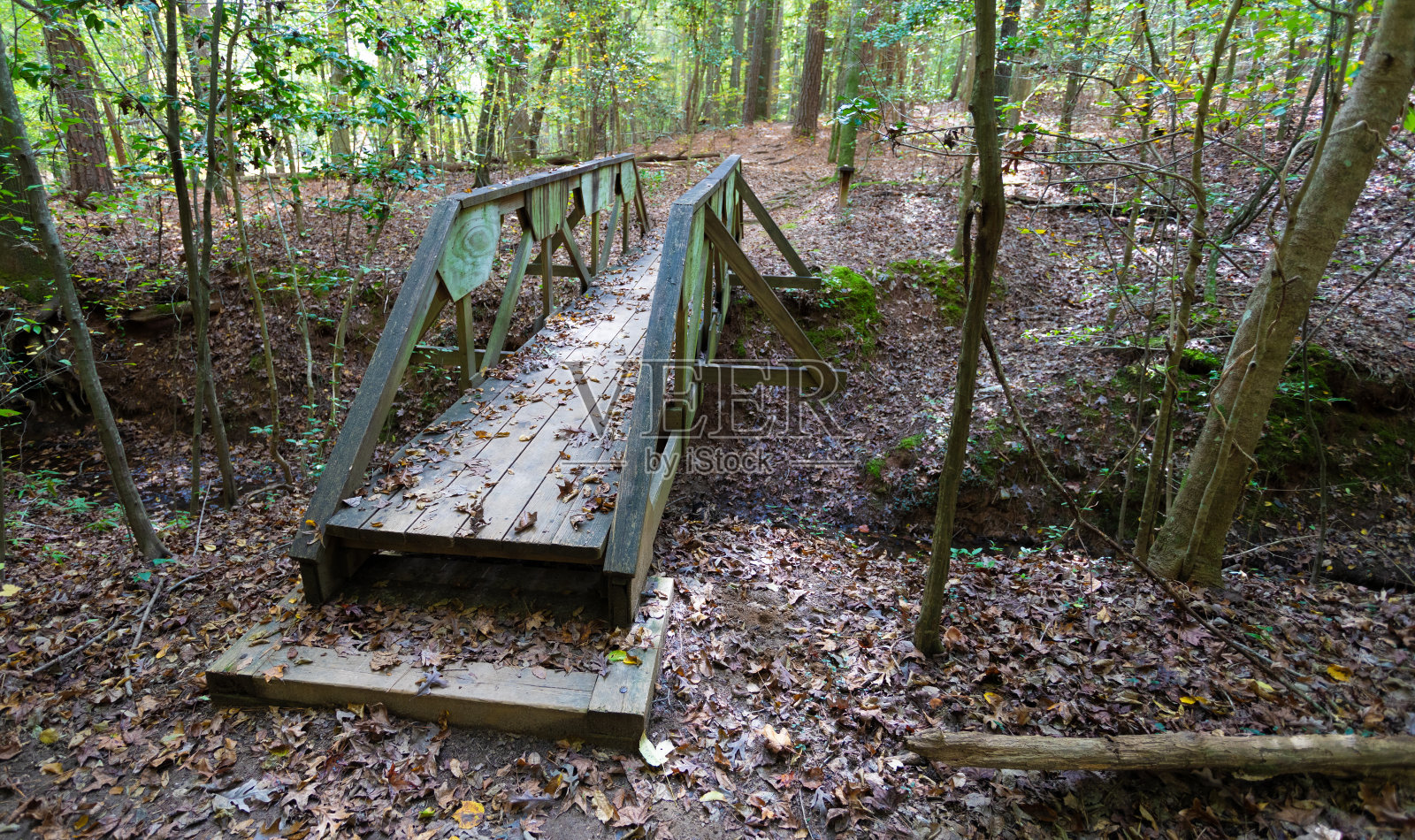 秋天，北卡罗莱纳州一条小路上的桥照片摄影图片