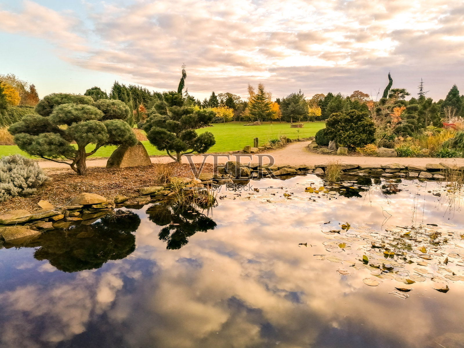 池塘倒影照片摄影图片