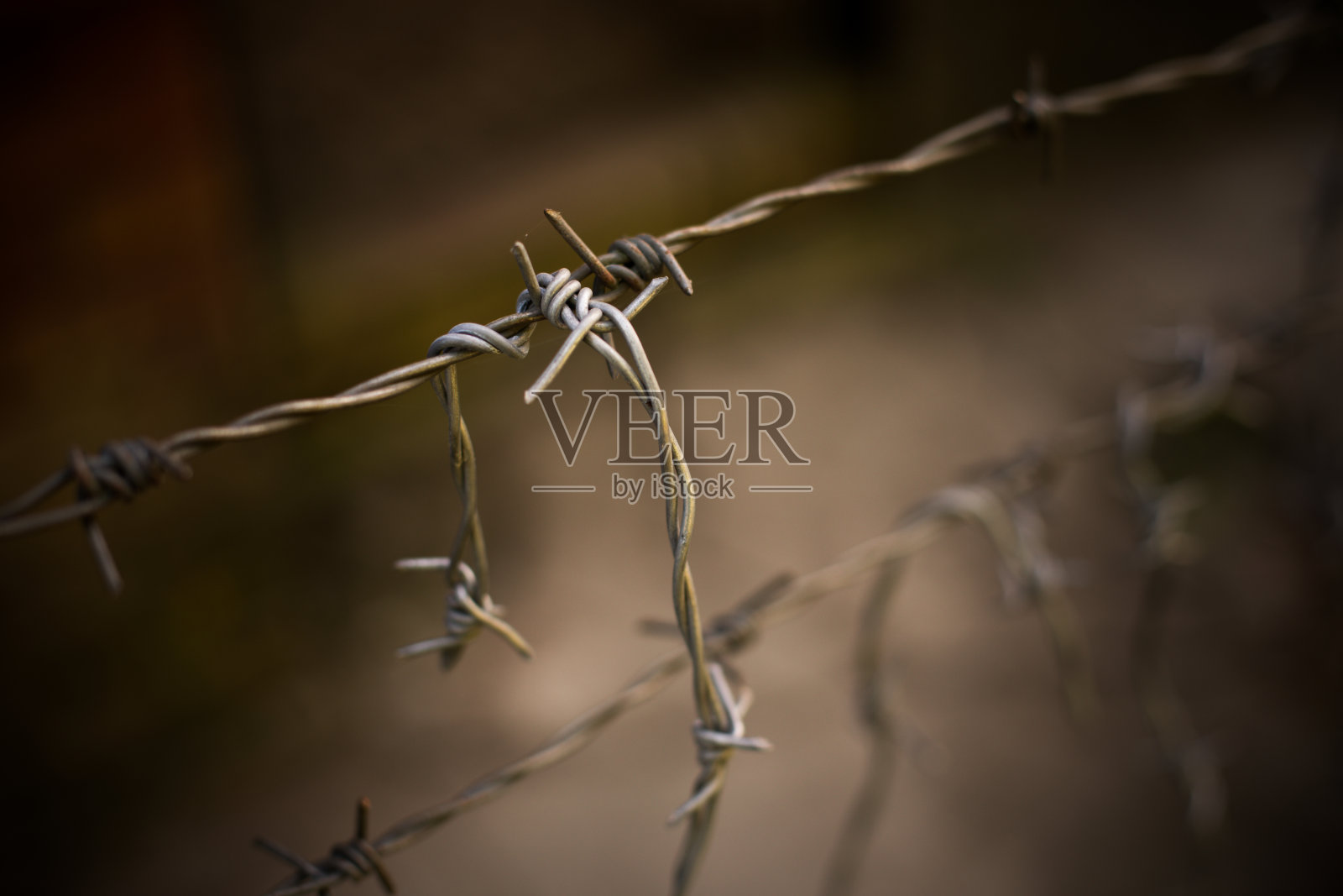 铁丝网照片摄影图片