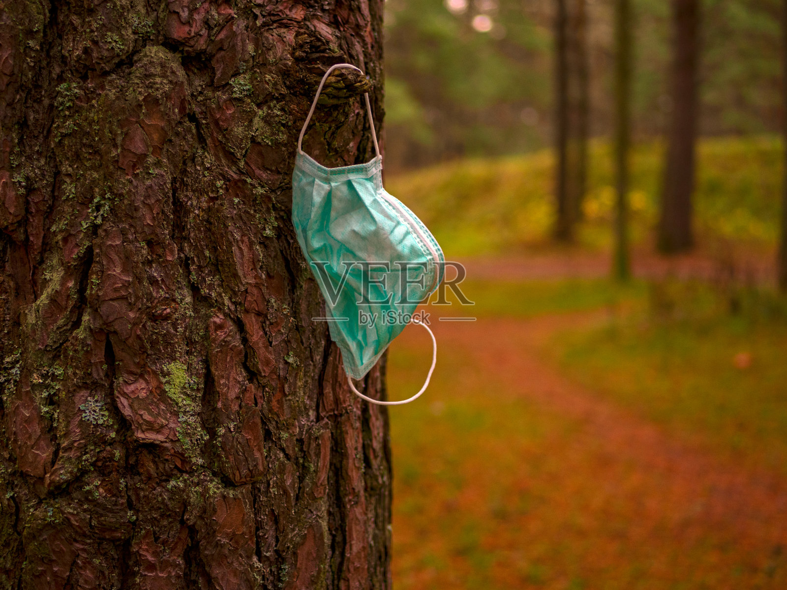 使用过的遮罩和树照片摄影图片