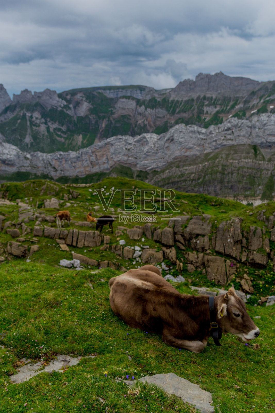 穿越瑞士阿彭策尔山脉的美丽探险之旅。-阿彭策尔/ Alpstein /瑞士照片摄影图片