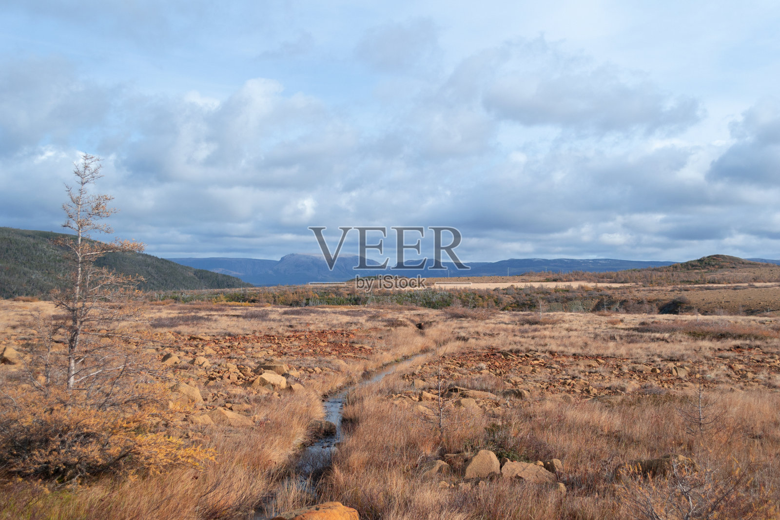 高地照片摄影图片