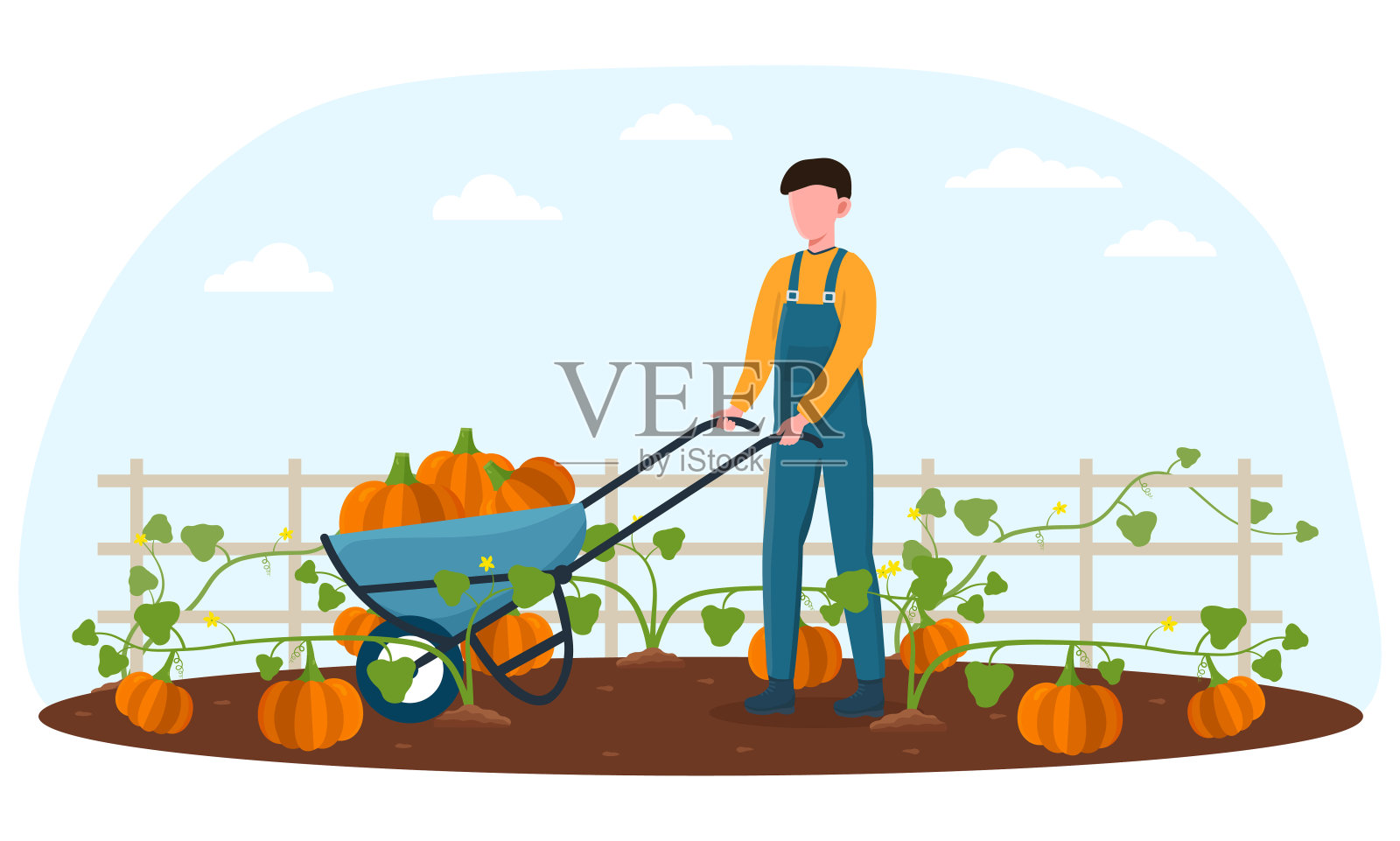 农民用金属手推车收割南瓜插画图片素材