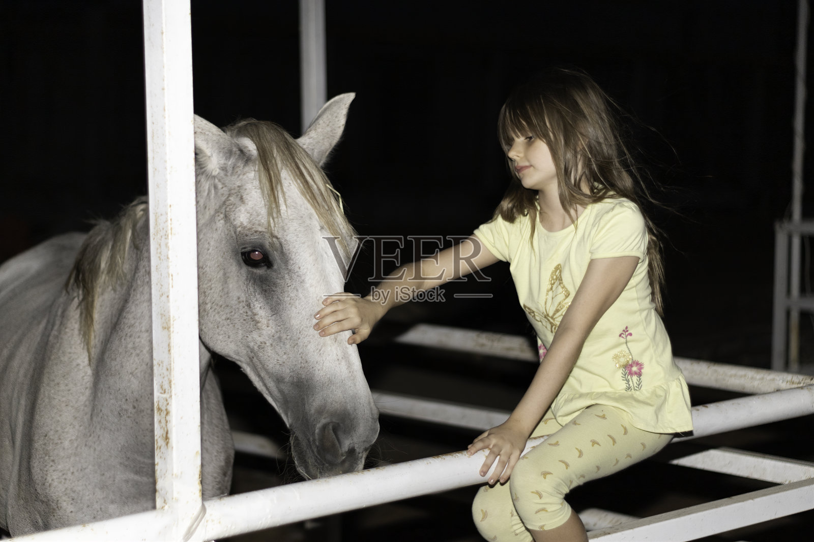 观看大型马匹的年轻女孩照片摄影图片