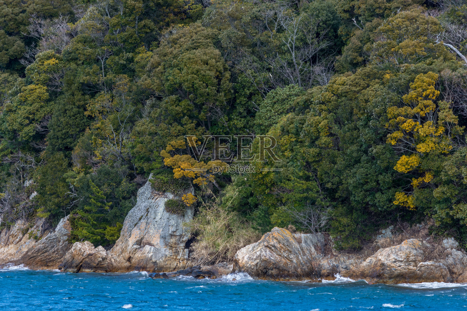 日本静冈县滨马湖的石质海岸照片摄影图片