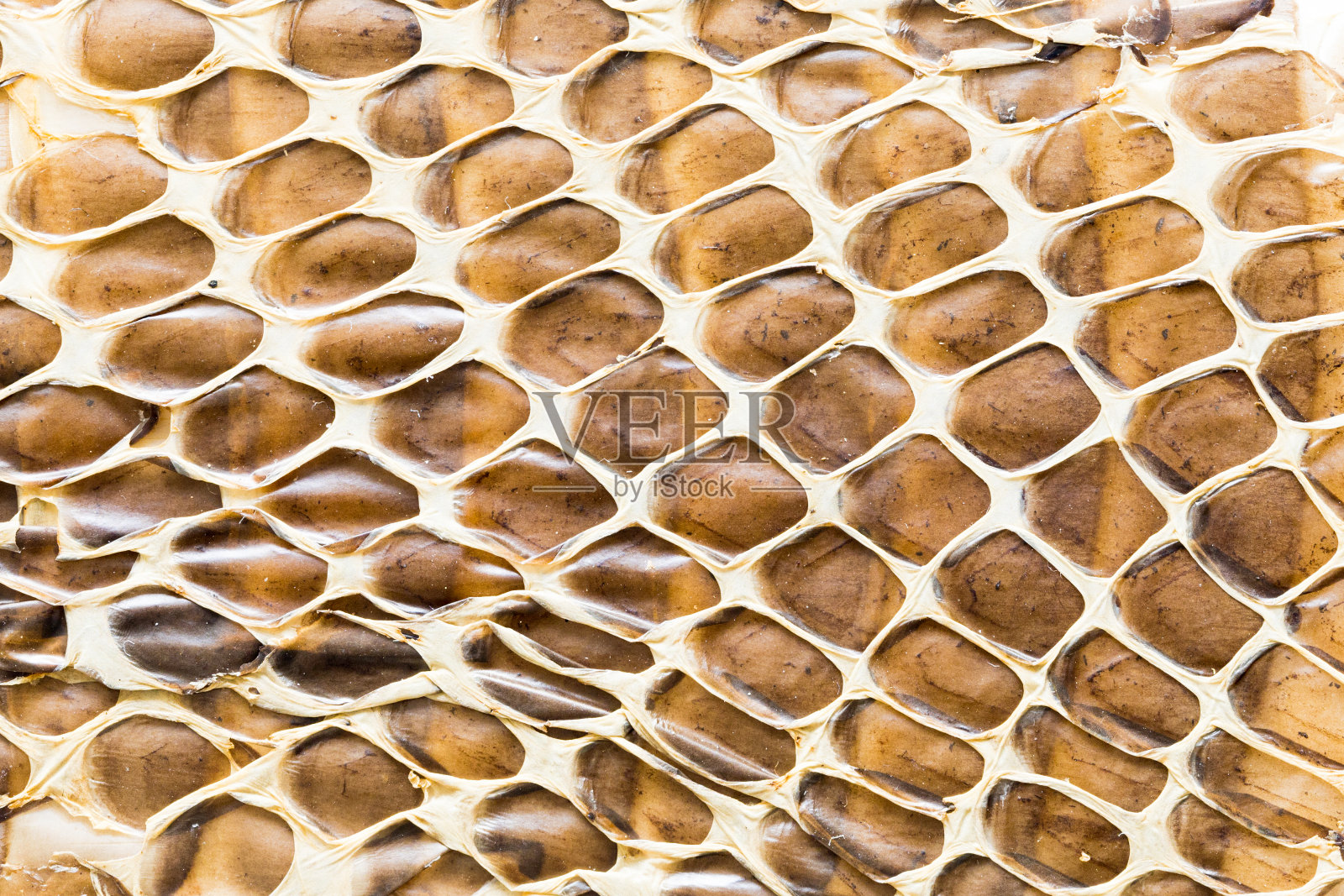 蛇皮纹理照片摄影图片